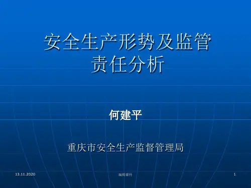 《安全生产形式分析》PPT课件