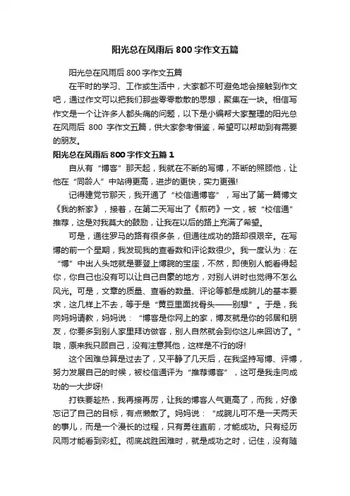 阳光总在风雨后800字作文五篇