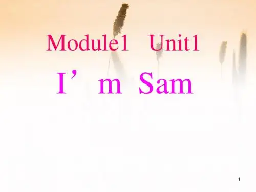 【精品】三年级上册英语课件- Module 1 Unit 1 I'm Sam  外研社 (1)