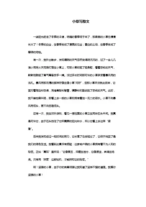 小草写散文