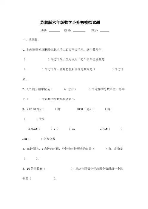 苏教版六年级小升初数学模拟试题(含答案)