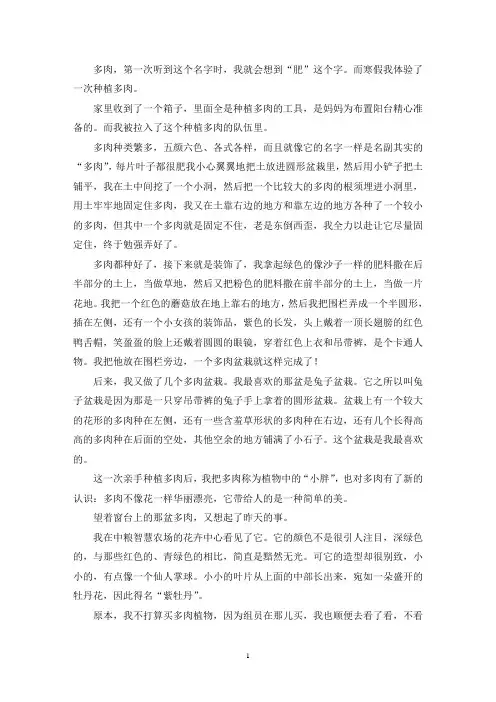 多肉的作文