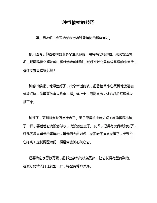 种香椿树的技巧