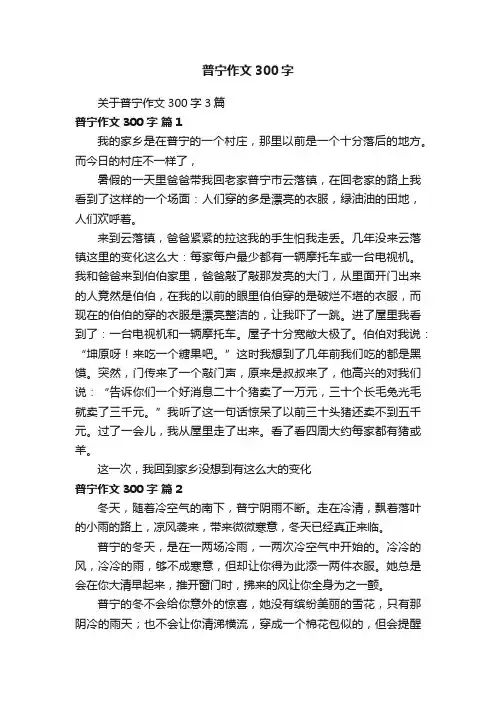 关于普宁作文300字3篇