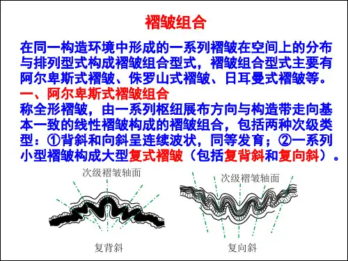 褶皱组合型式