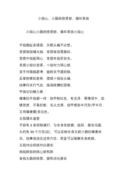 小指心小肠经络肾脏循环系统