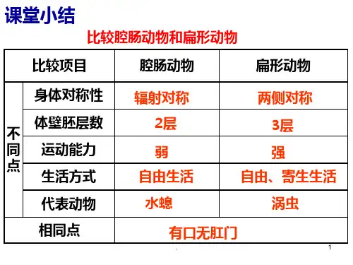 第二节 线形动物和环节动物PPT课件