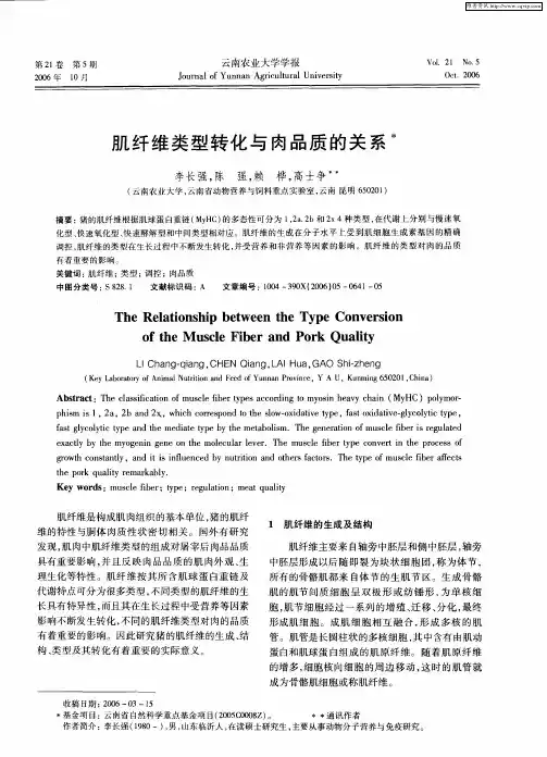 肌纤维类型转化与肉品质的关系