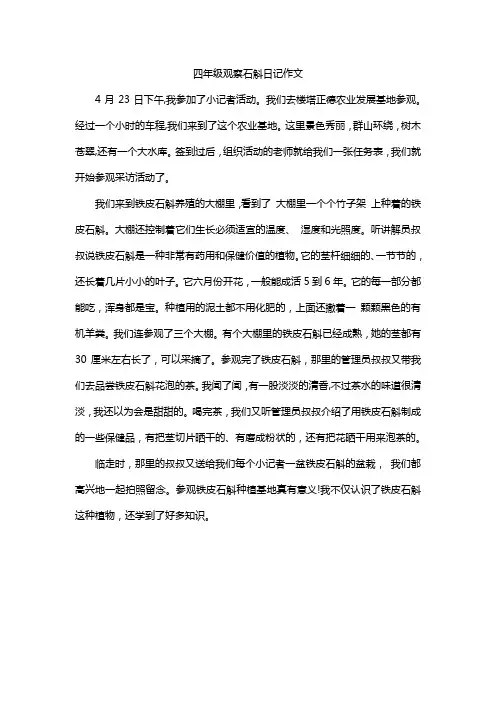 四年级观察石斛日记作文