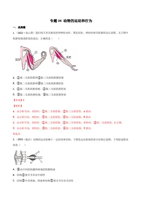 专题08 动物的运动和行为-2022年中考生物真题分项汇编 (全国通用) 带解析