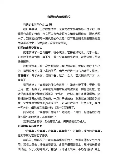 有趣的含羞草作文