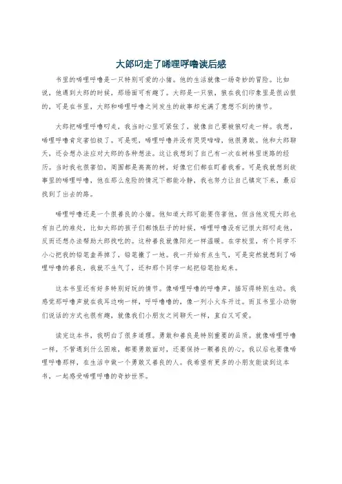 大郎叼走了唏哩呼噜读后感