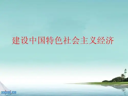 中国特色的社会主义经济建设