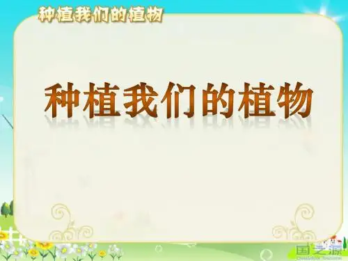 《种植我们的植物》植物的生长变化PPT课件2