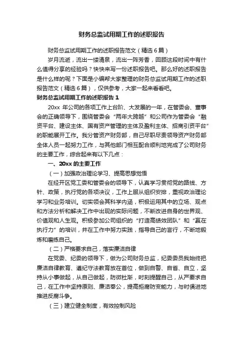 财务总监试用期工作的述职报告