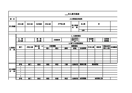 人事月报表模板