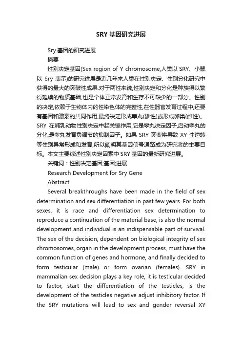 SRY基因研究进展