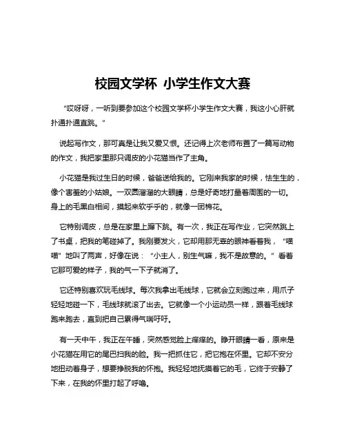 校园文学杯 小学生作文大赛