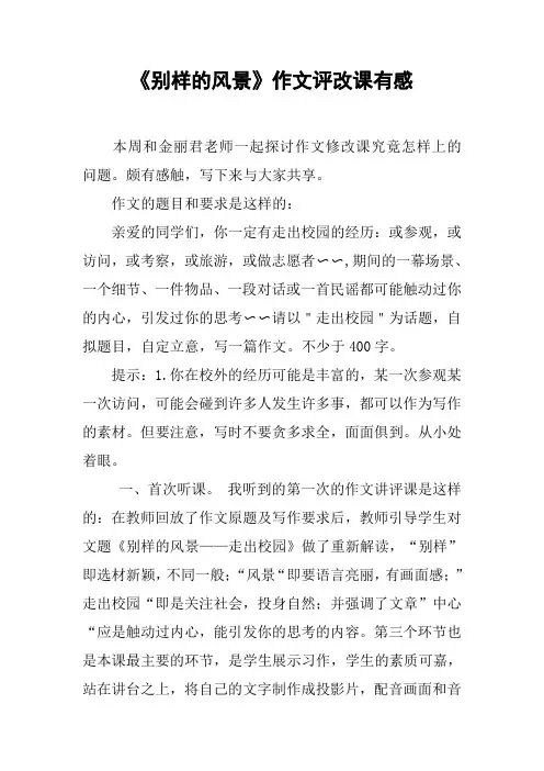 《别样的风景》作文评改课有感