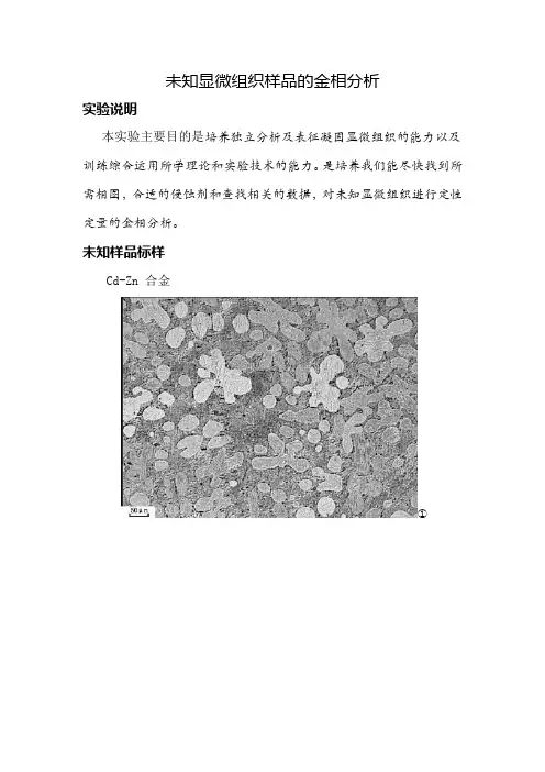 未知显微组织样品的金相分析