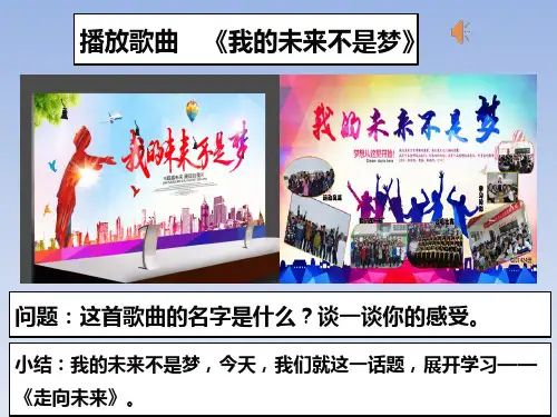人教部编版九年级道德与法治下册课件：7.2走向未来课件(共44张PPT)