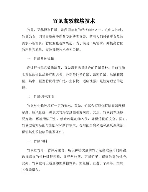 竹鼠高效栽培技术