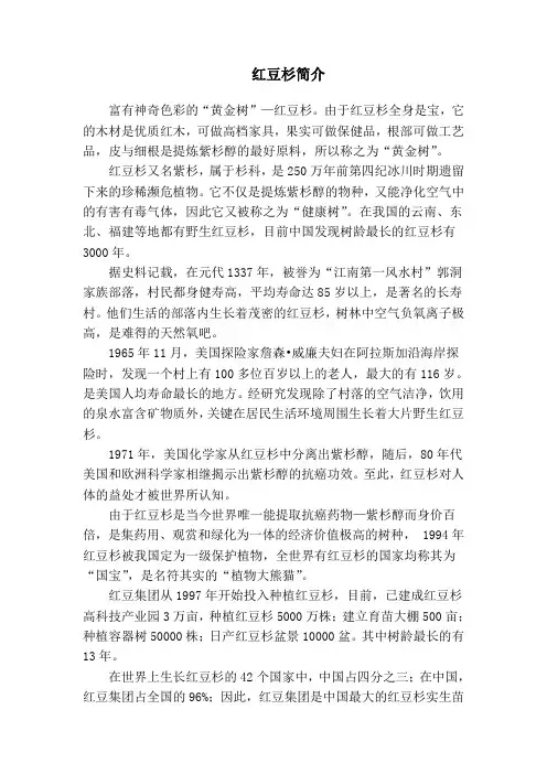 红豆杉介绍