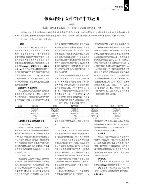 体况评分在奶牛饲养中的应用