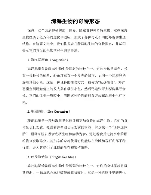 深海生物的奇特形态