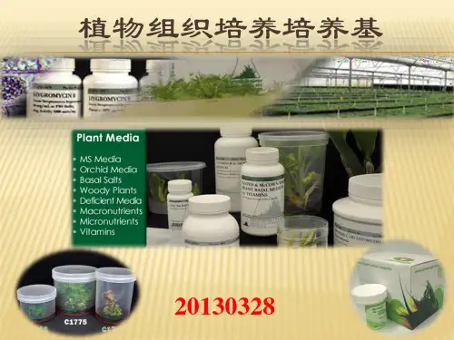 植物组织培养培养基