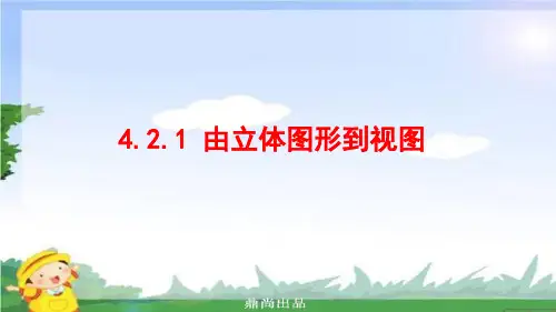 七年级数学上册第四章图形的初步认识4.2.1由立体图形到视图课件新华东师大版17.ppt
