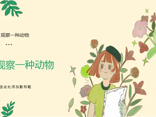 一年级科学《观察一种动物》