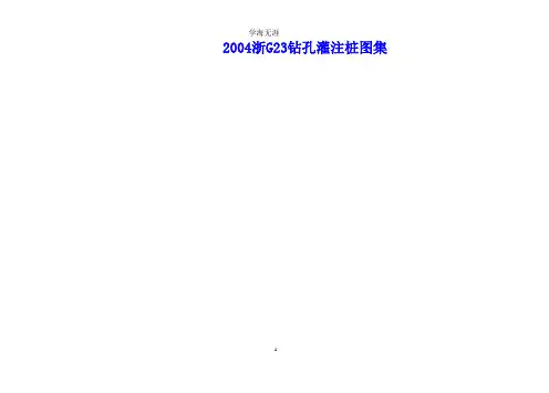 2004浙G23钻孔灌注桩图集n.pptx