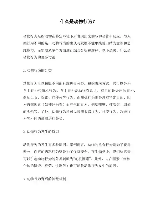 什么是动物行为？