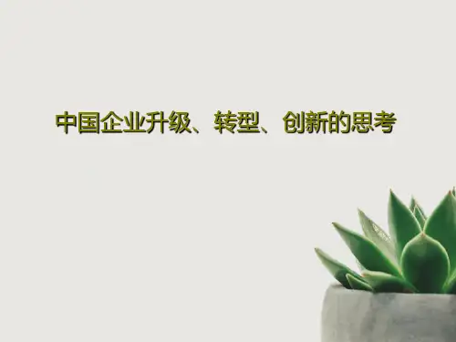 中国企业升级、转型、创新的思考42页PPT