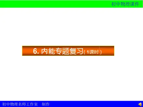 初中物理内能专题复习ppt课件