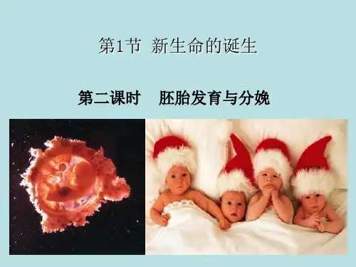 浙教版科学课件《新生命的诞生》优质课(PPT)1