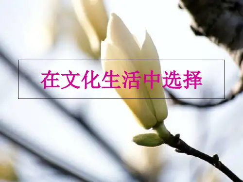 在文化生活中选择ppt课件