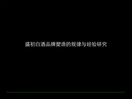 朱久文：白酒品牌塑造的规律与经验研究