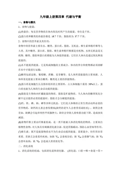 浙教版 科学知识点 九上4