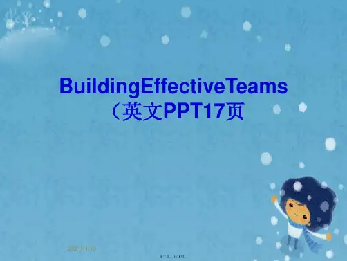 BuildingEffectiveTeams(英文PPT17页