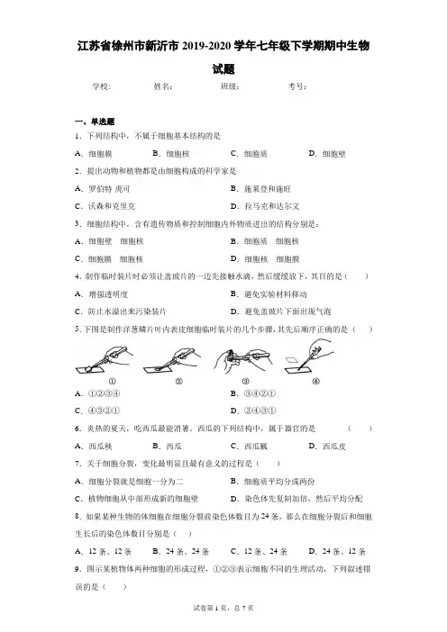 江苏省徐州市新沂市2019-2020学年七年级下学期期中生物试题(word版 含答案)