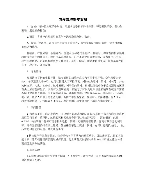 怎样栽培铁皮石斛