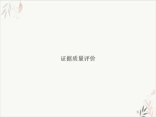 证据质量评价课件-PPT
