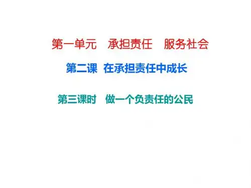 人教版九年级政治上册课件 第一单元 第二课 第三课时 做一个负责任的公民