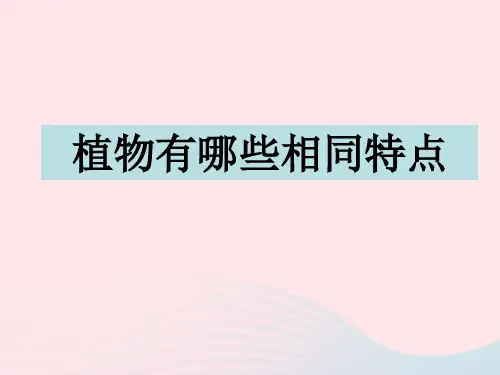 三年级科学上册1.7植物的有哪些共同特点课件3教科版