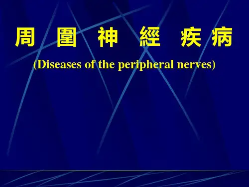 周围神经疾病 PPT课件