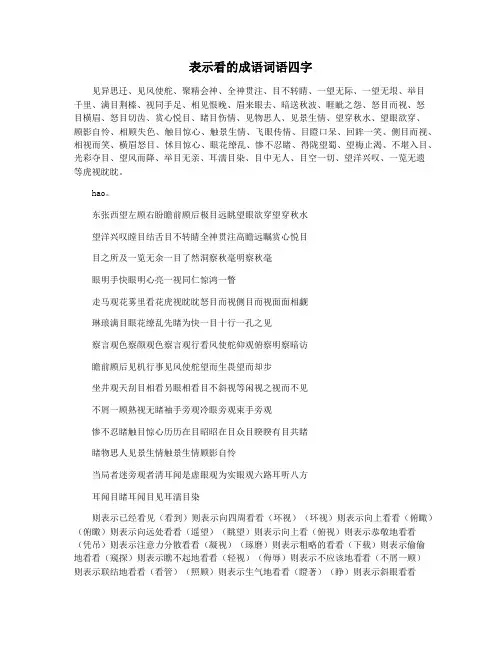 表示看的成语词语四字