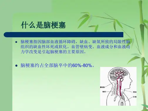 急性脑梗塞的溶栓治疗业务学习(共35张PPT)