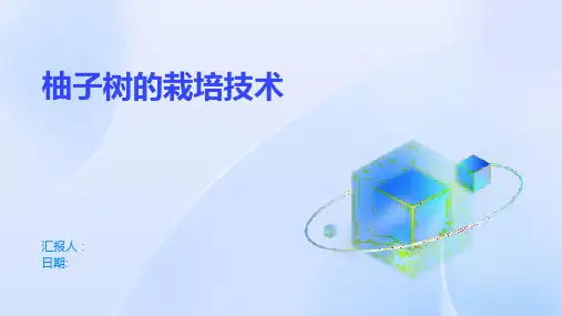 柚子树的栽培技术